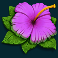 wild swarm slot purple flower symbol