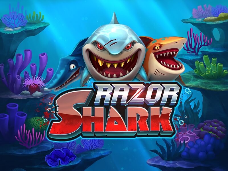 razor shark logo