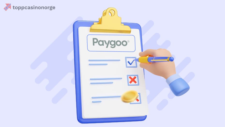 Fordeler og ulemper med paygoo
