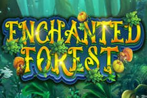 enchanced forest logo