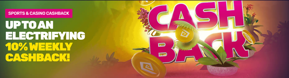 bongo weekly cashback