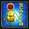Scarab Beetle Scatter