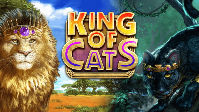 kingofcats logo