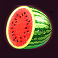 100 joker staxx symbol watermelon