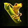 kongs temple frog symbol
