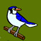secret garden symbol blue bird