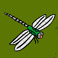 secret garden symbol dragonfly