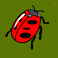 secret garden symbol ladybug