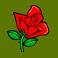 secret garden symbol rose