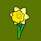 secret garden symbol yellow flower