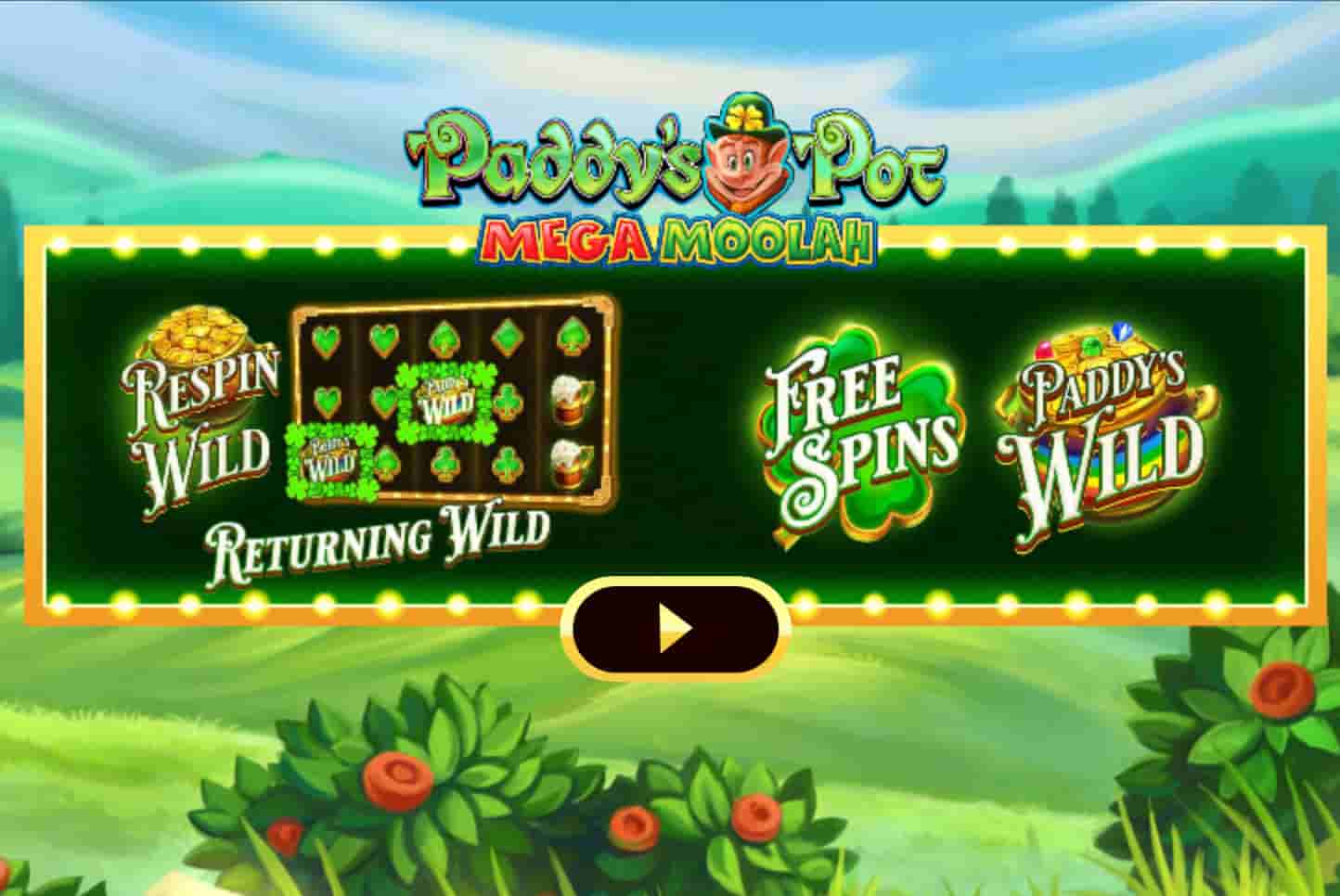 Paddy’s Pot Mega Moolah screenshot 5