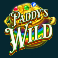 Paddy's Wild