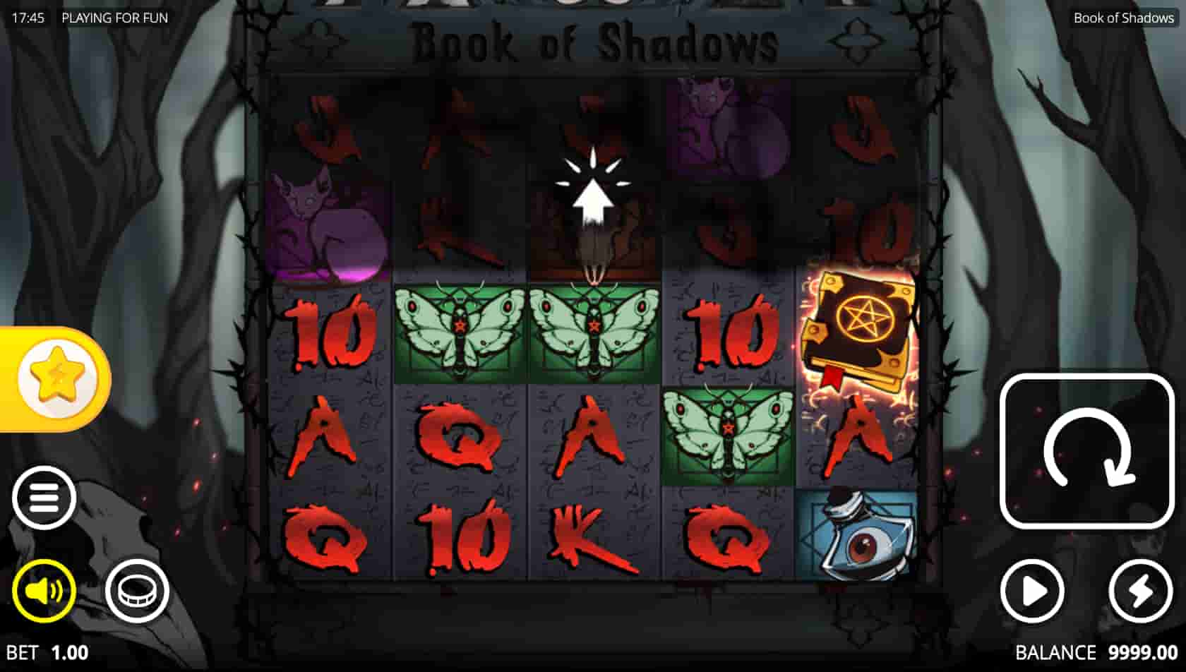 Book of Shadows screenshot 1