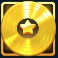 Gold Vinyl Record