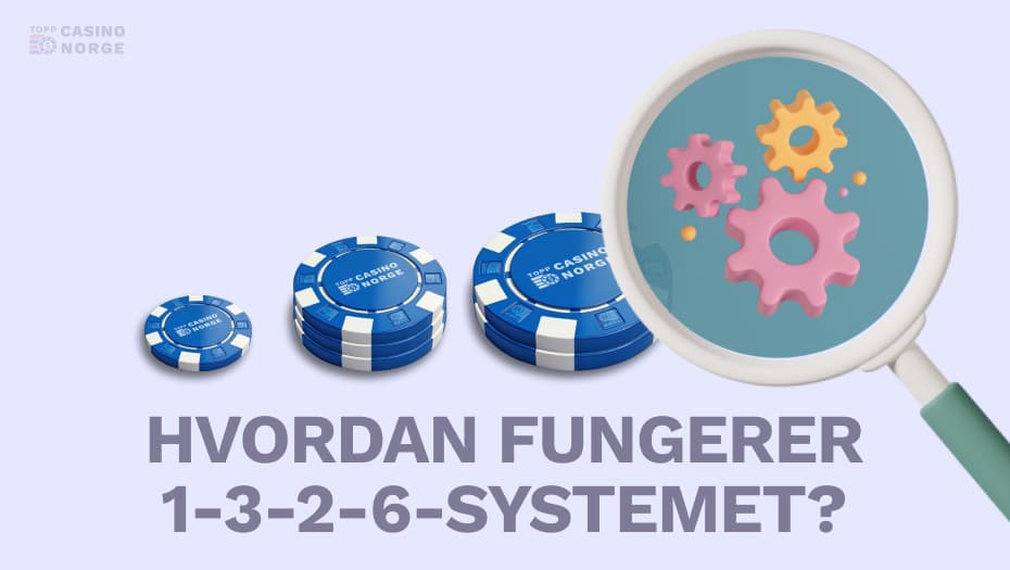 hvordan fungerer 1-3-2-6 systemet