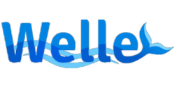 welle casino logo