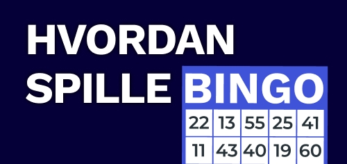 hvordan spille bingo preview